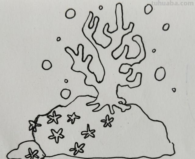 怎么画珊瑚简笔画图片(怎么画珊瑚简笔画图片大全) 怎么画珊瑚简笔画图片(怎么画珊瑚简笔画图片大全)