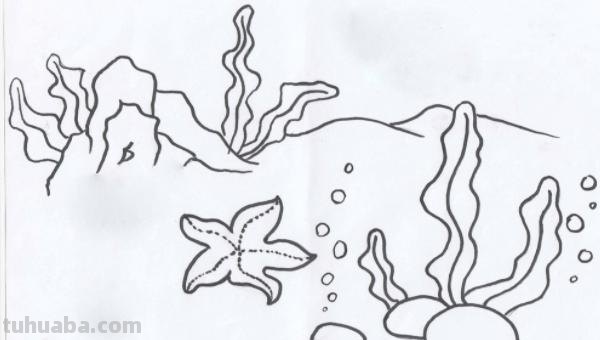 怎么画珊瑚简笔画图片(怎么画珊瑚简笔画图片大全) 怎么画珊瑚简笔画图片(怎么画珊瑚简笔画图片大全)