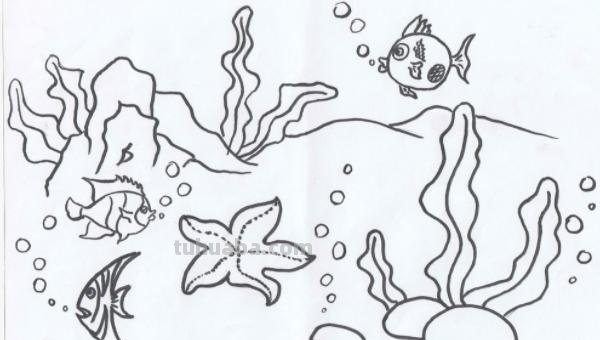 怎么画珊瑚简笔画图片(怎么画珊瑚简笔画图片大全) 怎么画珊瑚简笔画图片(怎么画珊瑚简笔画图片大全)