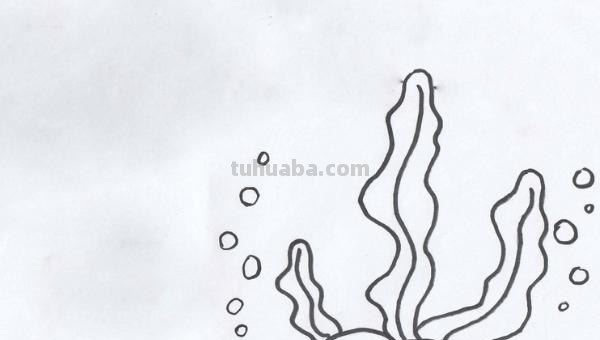 怎么画珊瑚简笔画图片(怎么画珊瑚简笔画图片大全) 怎么画珊瑚简笔画图片(怎么画珊瑚简笔画图片大全)