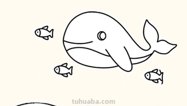 怎么画珊瑚简笔画图片(怎么画珊瑚简笔画图片大全) 怎么画珊瑚简笔画图片(怎么画珊瑚简笔画图片大全)