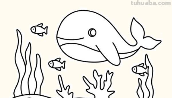 怎么画珊瑚简笔画图片(怎么画珊瑚简笔画图片大全) 怎么画珊瑚简笔画图片(怎么画珊瑚简笔画图片大全)