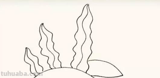 水草怎么画简笔画图片（水草怎么画简笔画图片大全）