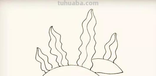 水草怎么画简笔画图片（水草怎么画简笔画图片大全）