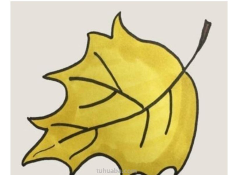 落叶怎么画简笔画图片(落叶怎么画简笔画图片大全) 落叶怎么画简笔画图片(落叶怎么画简笔画图片大全)