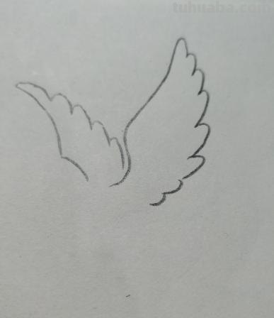 信鸽怎么画简笔画图片（信鸽怎么画简笔画图片大全）