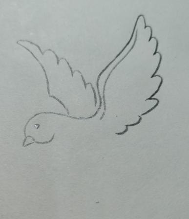 信鸽怎么画简笔画图片（信鸽怎么画简笔画图片大全）