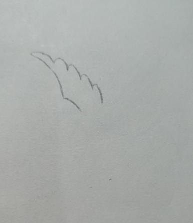 信鸽怎么画简笔画图片（信鸽怎么画简笔画图片大全）