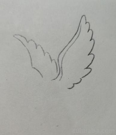 信鸽怎么画简笔画图片（信鸽怎么画简笔画图片大全）