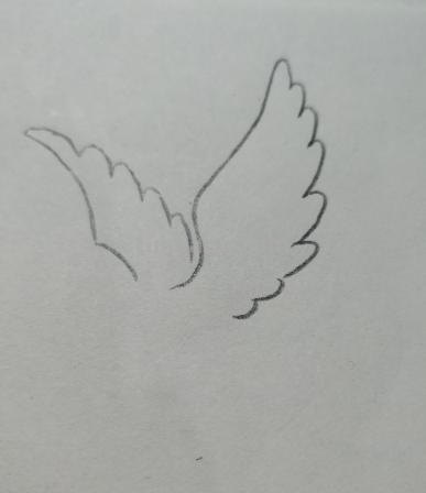 信鸽怎么画简笔画图片（信鸽怎么画简笔画图片大全）