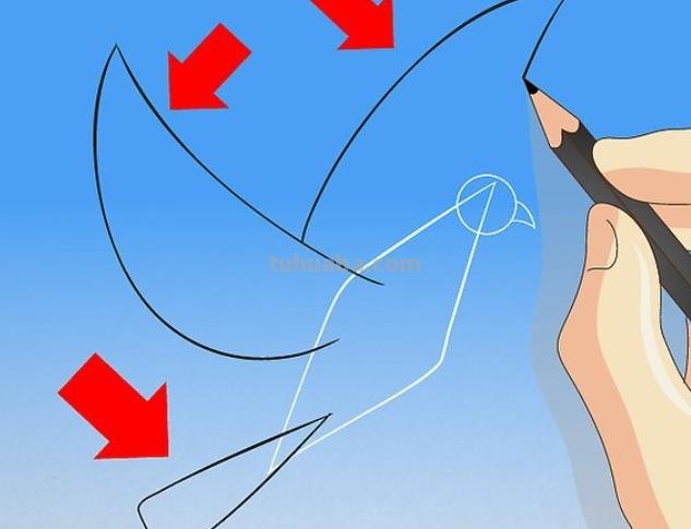 信鸽怎么画简笔画图片（信鸽怎么画简笔画图片大全）