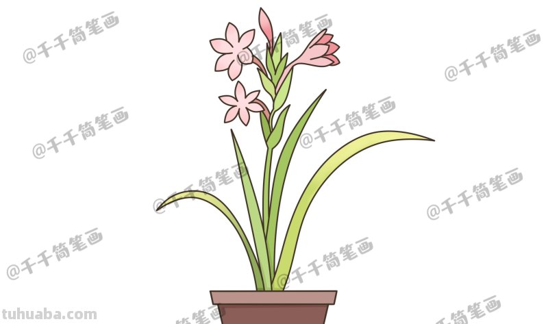 花草树木简笔画，很适合拿去教小朋友！转存收藏