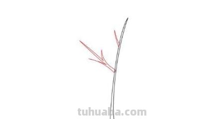 秋天彩铅画枫叶怎么画(秋天彩铅画枫叶怎么画好看) 秋天彩铅画枫叶怎么画(秋天彩铅画枫叶怎么画好看)