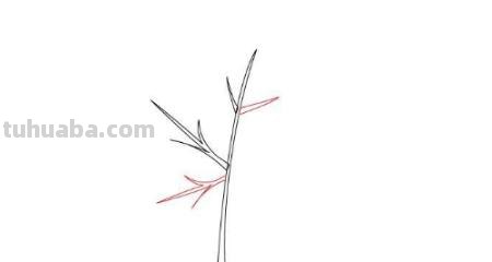 秋天彩铅画枫叶怎么画(秋天彩铅画枫叶怎么画好看) 秋天彩铅画枫叶怎么画(秋天彩铅画枫叶怎么画好看)
