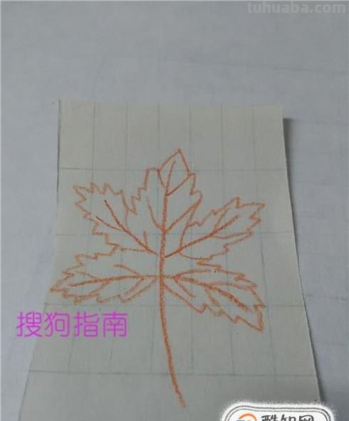 秋天彩铅画枫叶怎么画(秋天彩铅画枫叶怎么画好看) 秋天彩铅画枫叶怎么画(秋天彩铅画枫叶怎么画好看)