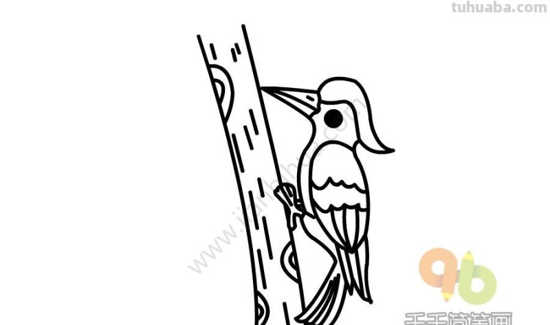 国庆节你准备怎么过？一组萌宠小动物简笔画，拿去在家练练手！