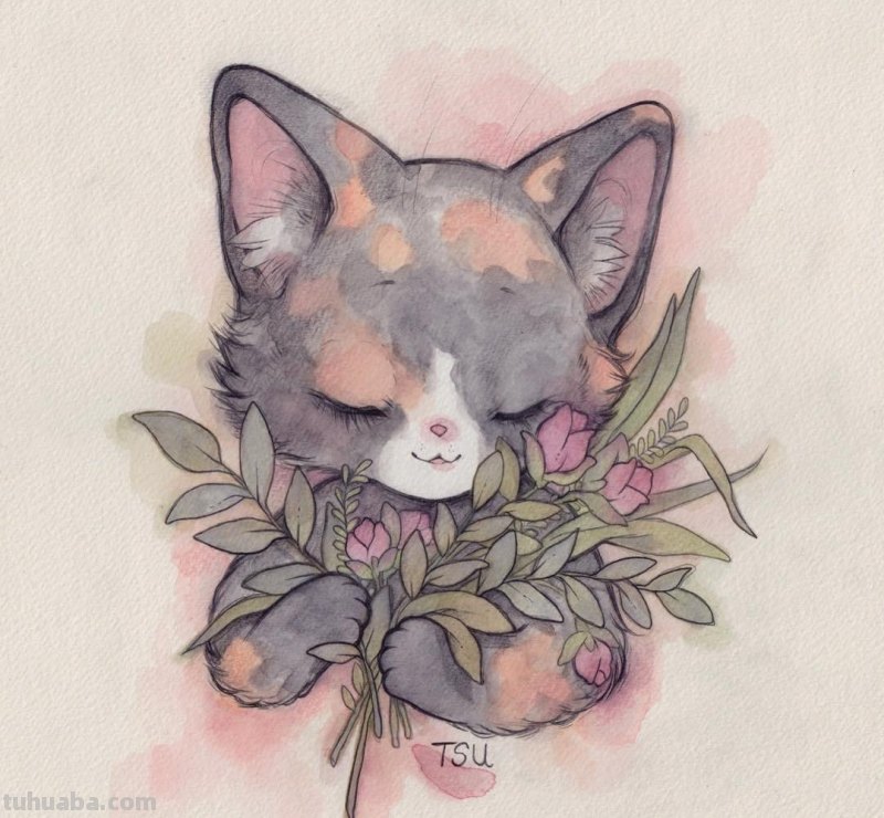 可爱的萌宠手绘插画