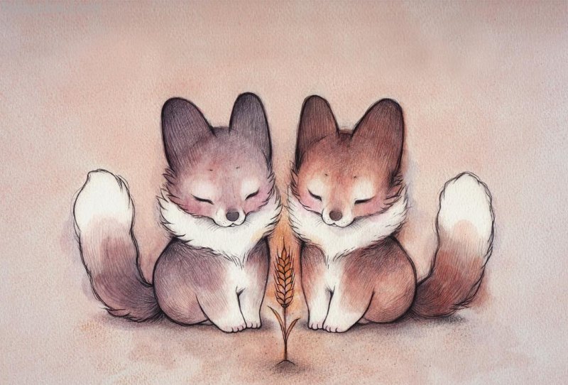 可爱的萌宠手绘插画