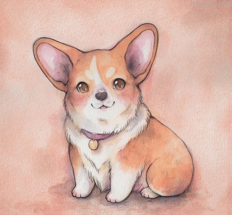 可爱的萌宠手绘插画