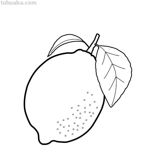 水果蔬菜高清简笔画手稿，跟着临摹