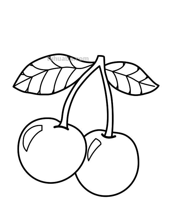 水果蔬菜高清简笔画手稿，跟着临摹