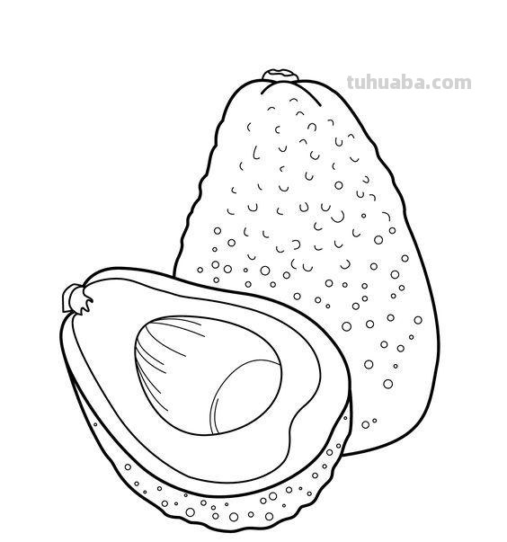 水果蔬菜高清简笔画手稿，跟着临摹