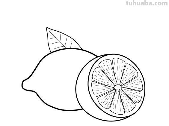 水果蔬菜高清简笔画手稿，跟着临摹