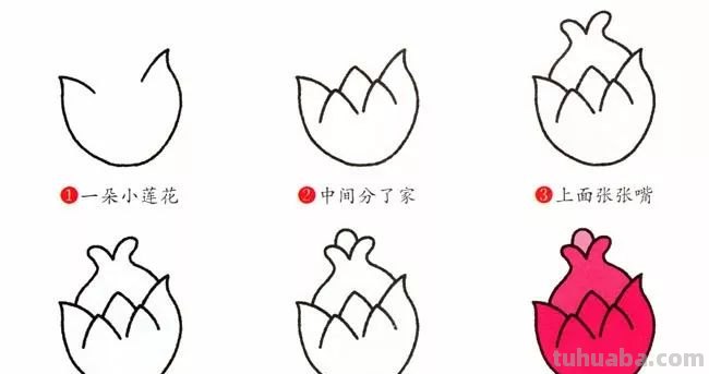 每天学一幅简笔画-水果简笔画大全