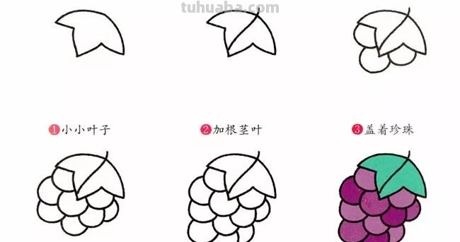 每天学一幅简笔画-水果简笔画大全