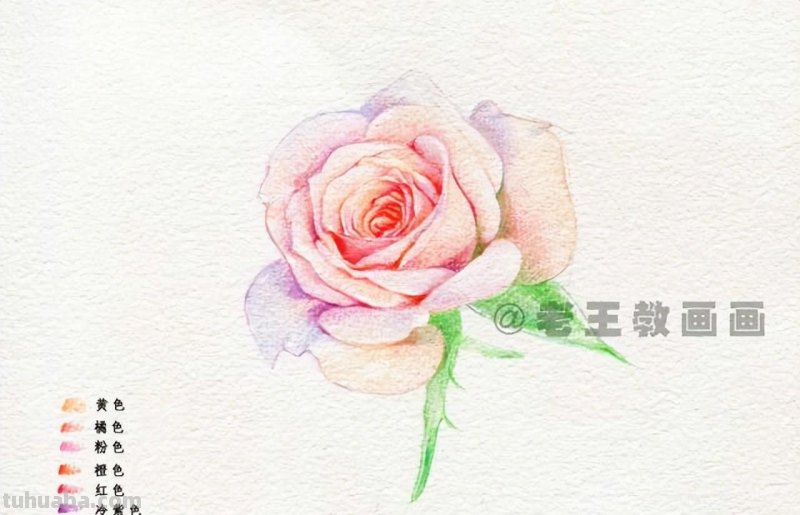 送你一朵玫瑰花，喜欢吗？（附详细教程）