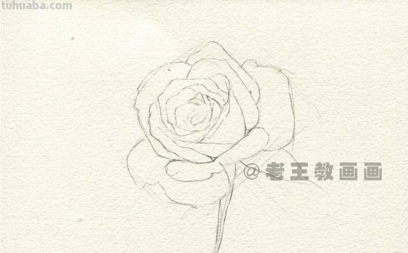 送你一朵玫瑰花，喜欢吗？（附详细教程）