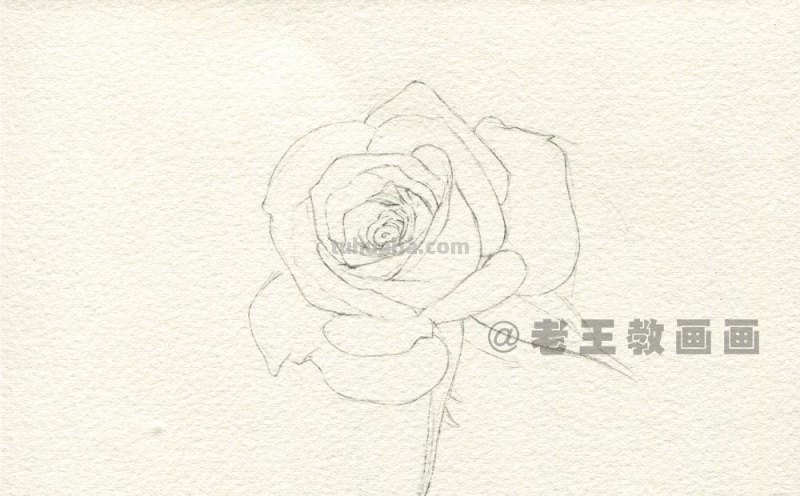 送你一朵玫瑰花，喜欢吗？（附详细教程）