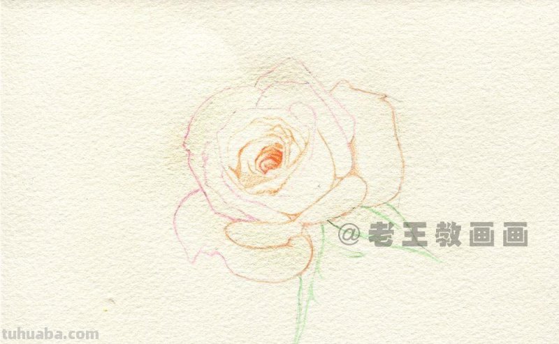 送你一朵玫瑰花，喜欢吗？（附详细教程）