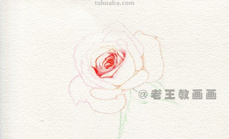 送你一朵玫瑰花，喜欢吗？（附详细教程）