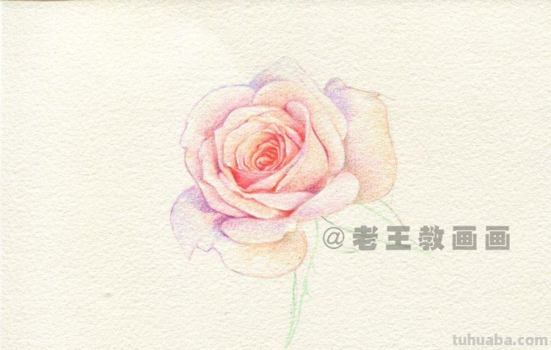 送你一朵玫瑰花，喜欢吗？（附详细教程）