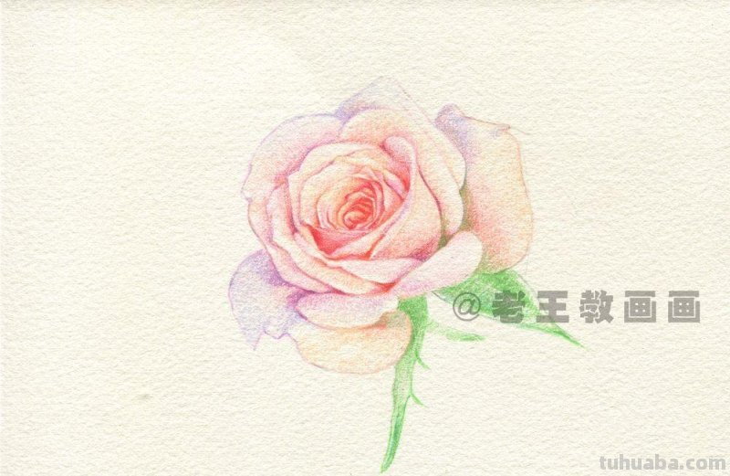 送你一朵玫瑰花，喜欢吗？（附详细教程）