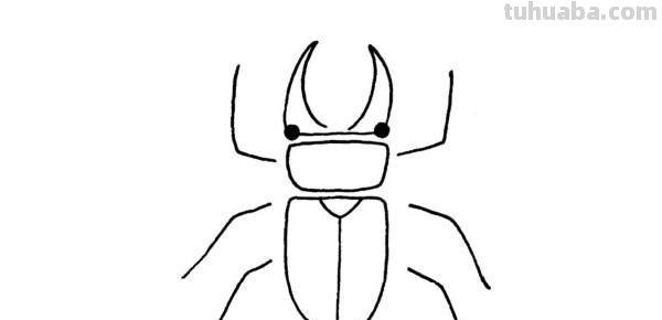每天学一幅简笔画-甲虫简笔画步骤画法及图片大全