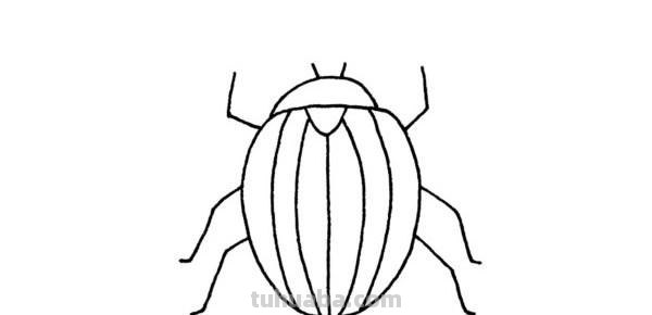每天学一幅简笔画-甲虫简笔画步骤画法及图片大全