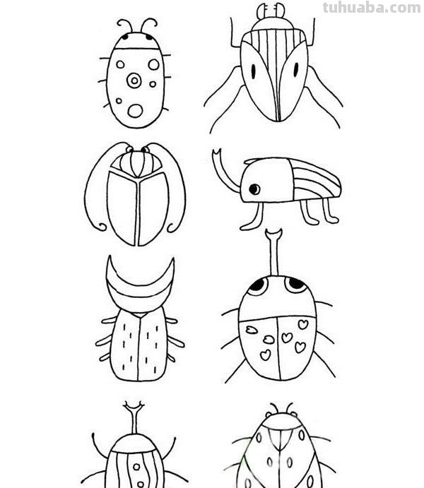 每天学一幅简笔画-甲虫简笔画步骤画法及图片大全