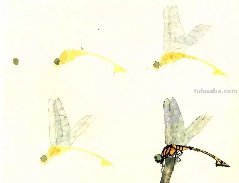 太棒了！一招教您学会各种小昆虫的画法