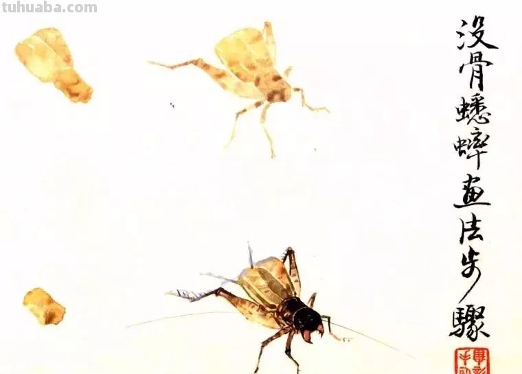太棒了！一招教您学会各种小昆虫的画法