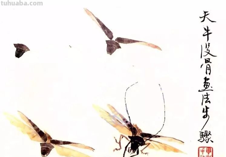 太棒了！一招教您学会各种小昆虫的画法