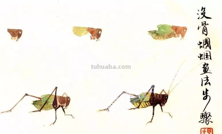太棒了！一招教您学会各种小昆虫的画法