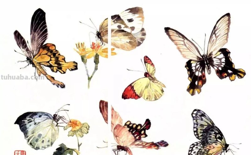 太棒了！一招教您学会各种小昆虫的画法