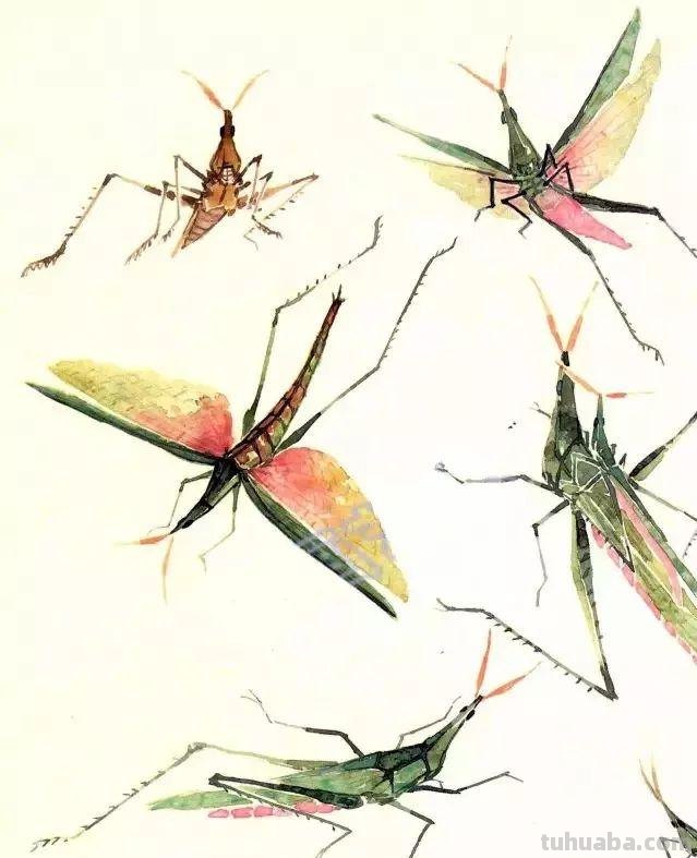 太棒了！一招教您学会各种小昆虫的画法