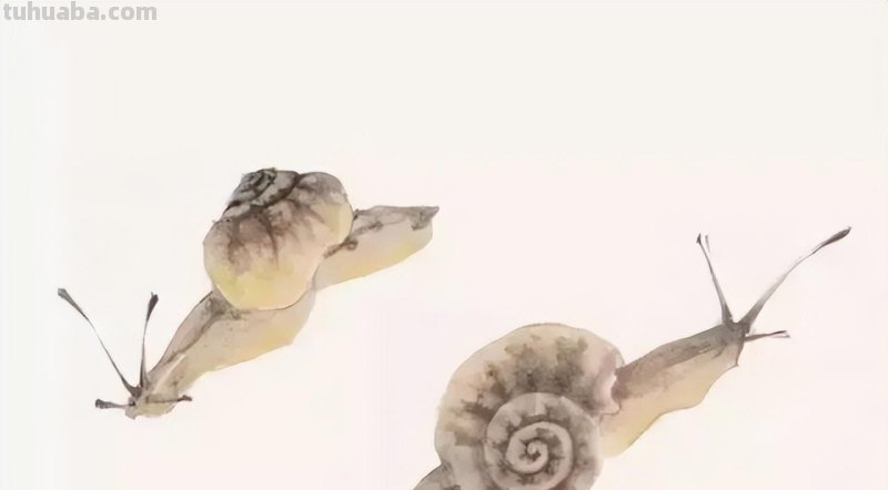 几种常见的草虫写意画法，快收藏！