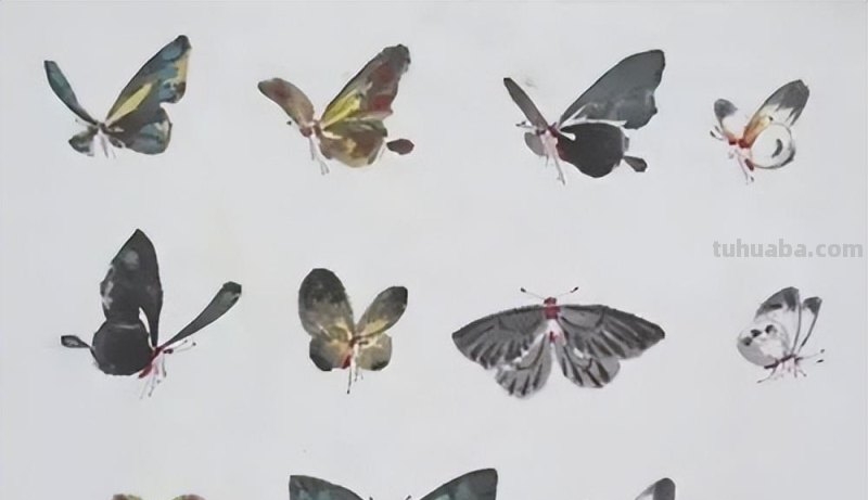 几种常见的草虫写意画法，快收藏！