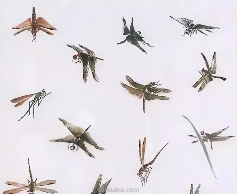 几种常见的草虫写意画法，快收藏！