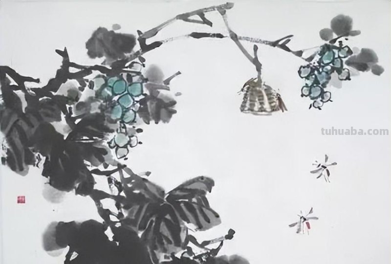 几种常见的草虫写意画法，快收藏！