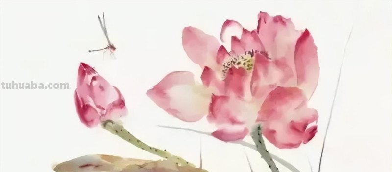 几种常见的草虫写意画法，快收藏！